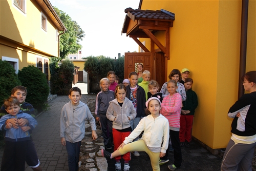 Obrázek v galerii